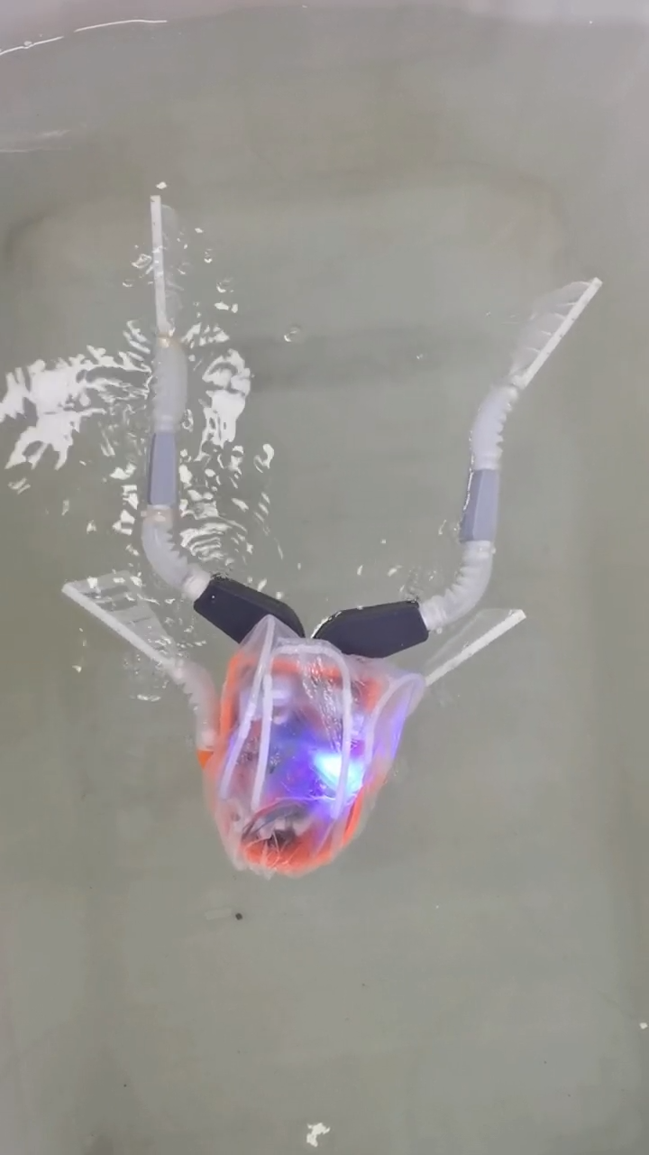 Forward propulsion through coordinated pneumatic actuation