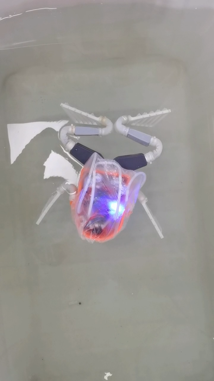 Frog robot at rest on water surface
